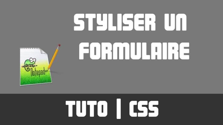 TUTO CSS  Styliser un formulaire  PrimFX.com